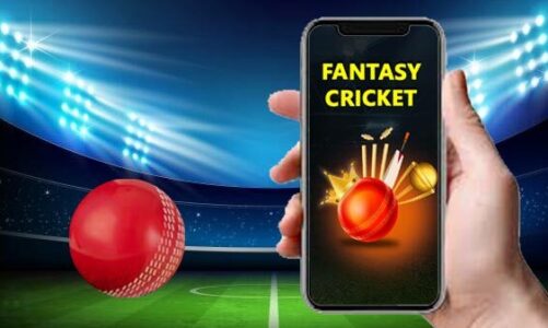 Start supporting fantasy cricket to participate and benefit from a variety of benefits
