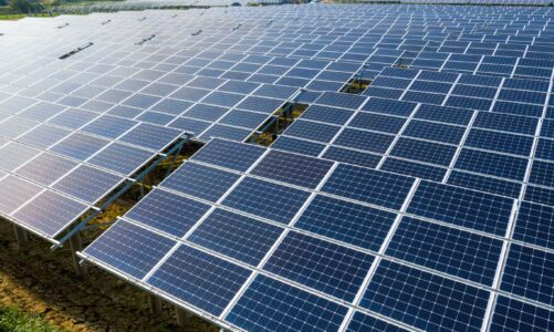 Installing solar panels in Jaipur